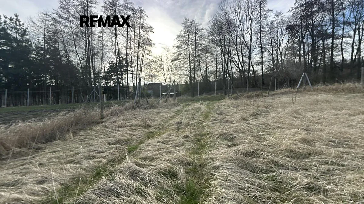 Fotka 12 z 17